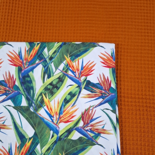 egzotyczne kwiaty 200 wafel rudy.jpg