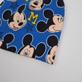 mickey na kobalcie 42 (3).jpg