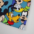 mickey pluto donald 42 (4).jpg