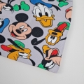 mickey pluto donald szary 42 (4).jpg