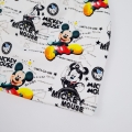 mickey kapitan 50 (4).jpg